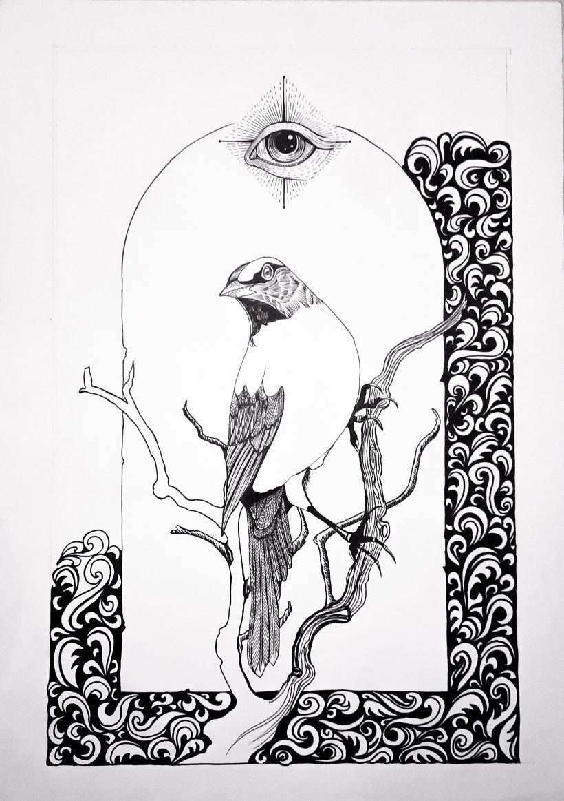 Mi proyecto del curso: Ilustración realista de pájaros con elementos creativos 6