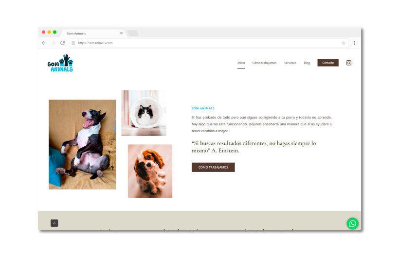 Página web para educadores caninos 4