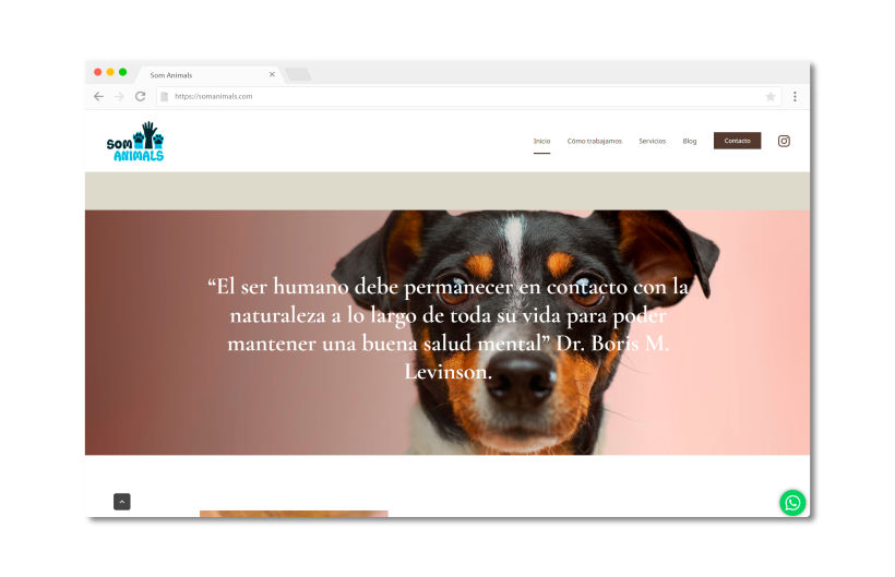 Página web para educadores caninos 6