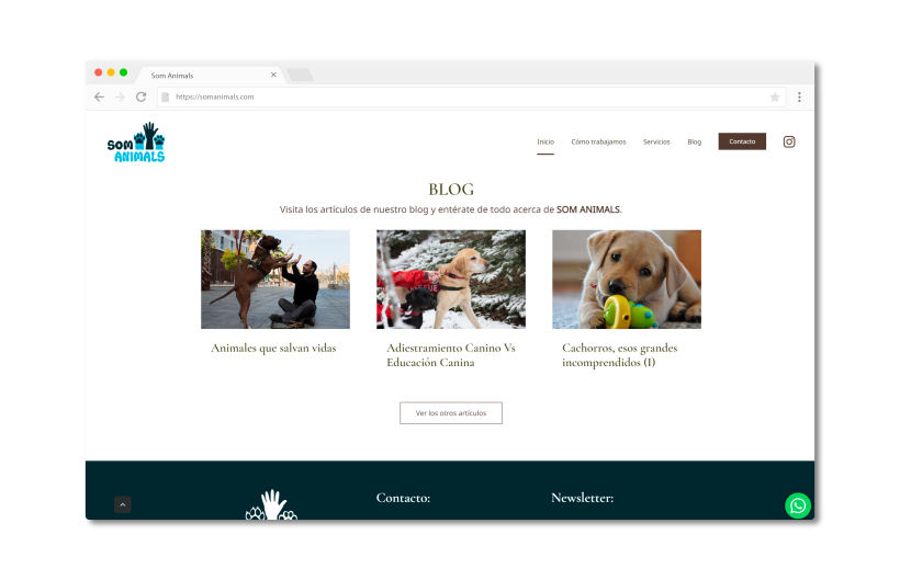 Página web para educadores caninos 8