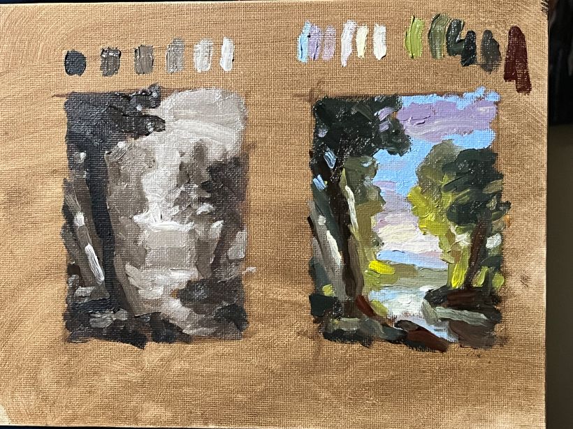 Value and color studies