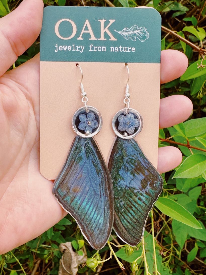 Butterfly wing earrings 