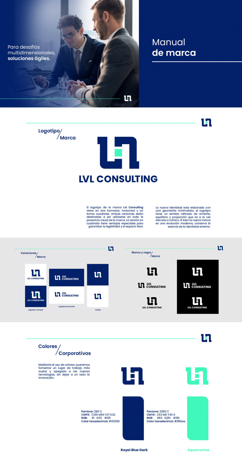 Manual de marca - Branding - LVL Consulting 1