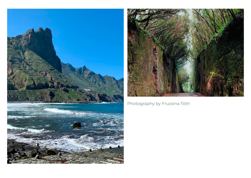 My course project: Discovering the beautiful island, Tenerife 6