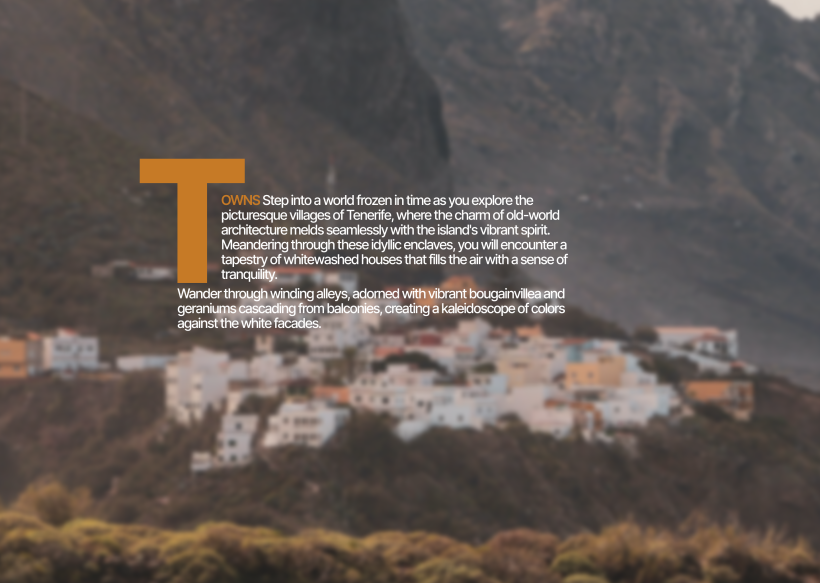 My course project: Discovering the beautiful island, Tenerife 11