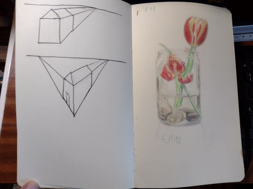 Mi proyecto del curso: Sketchbook ilustrado con lápices de colores 5