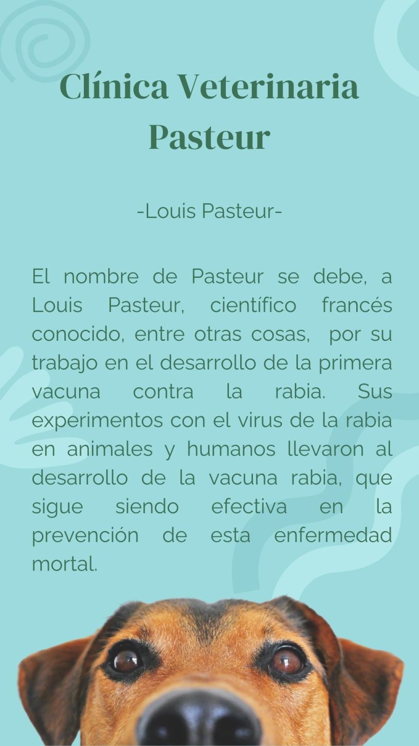 Clínica Veterinaria Pasteur 8