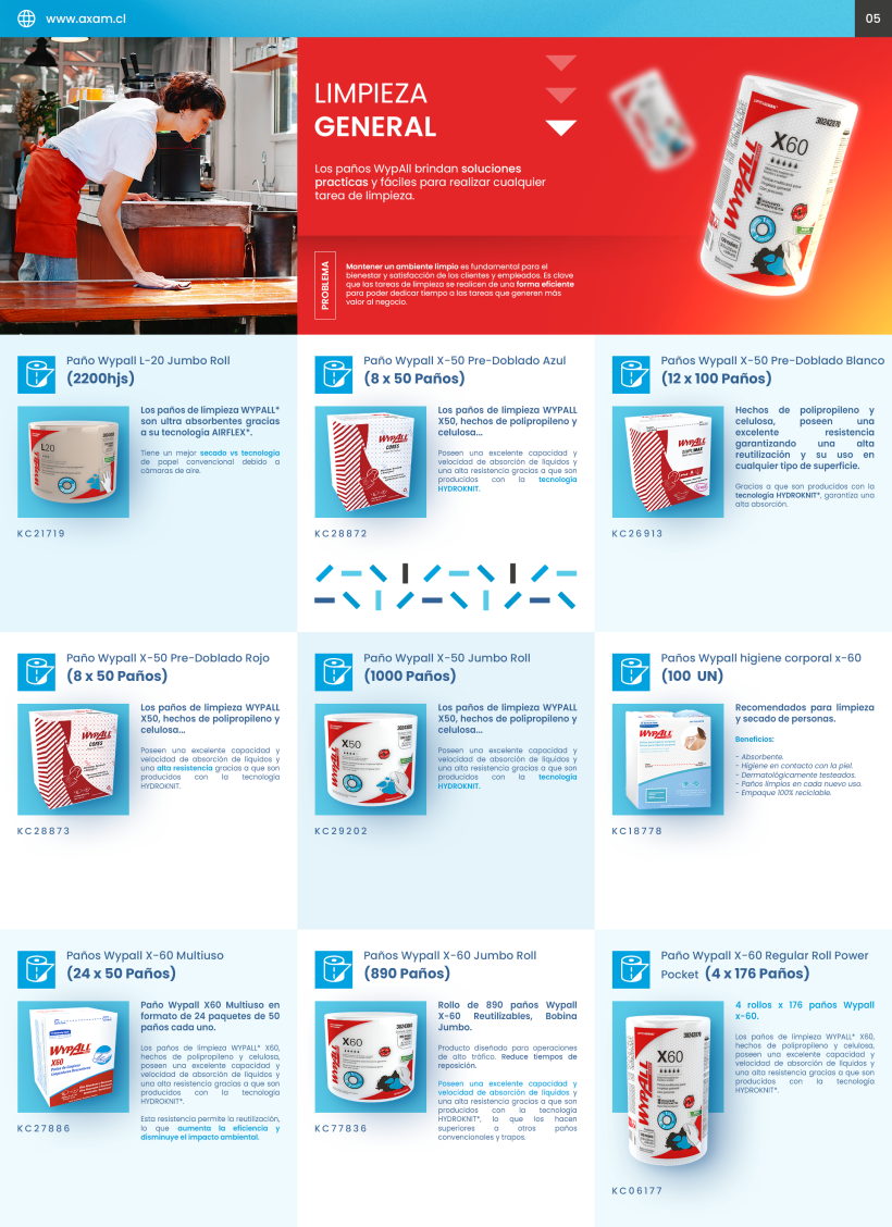 Catálogo de productos de higiene profesional para AXAM 4