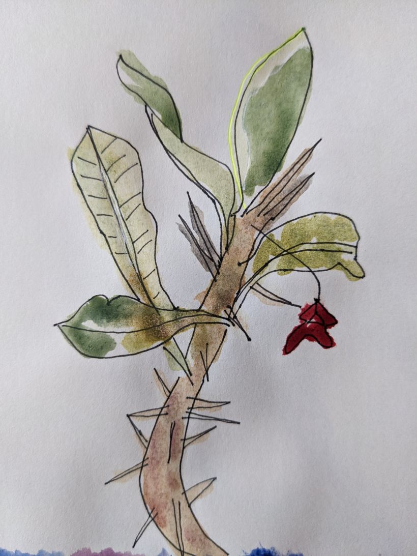 My project for course: Botanical Sketchbooking: A Meditative Approach 6