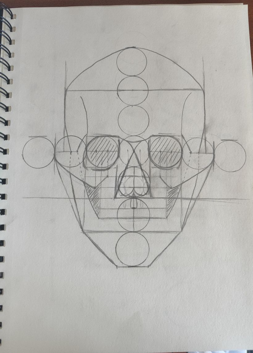 Mi proyecto del curso: Dibujo anatómico para principiantes 7