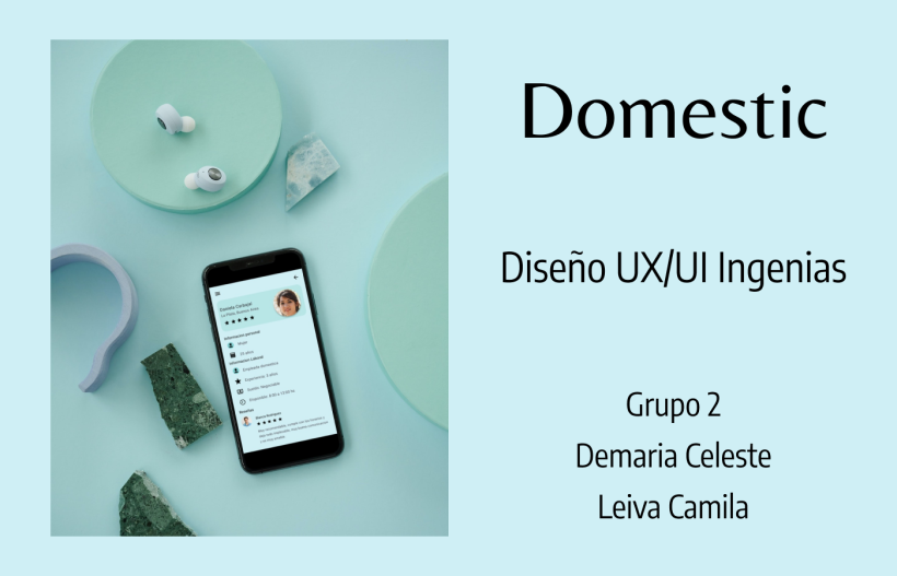 Domestic App - Diseño UX/UI 1