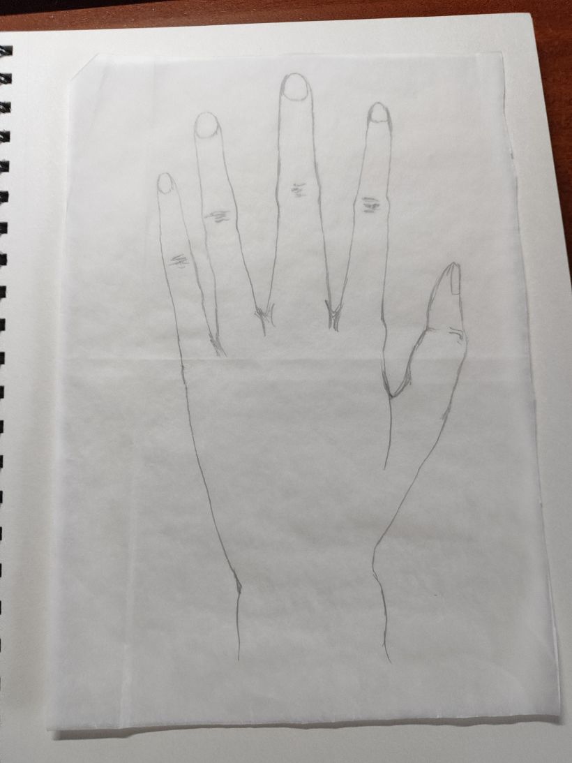 Mi proyecto del curso: Dibujo anatómico para principiantes 20