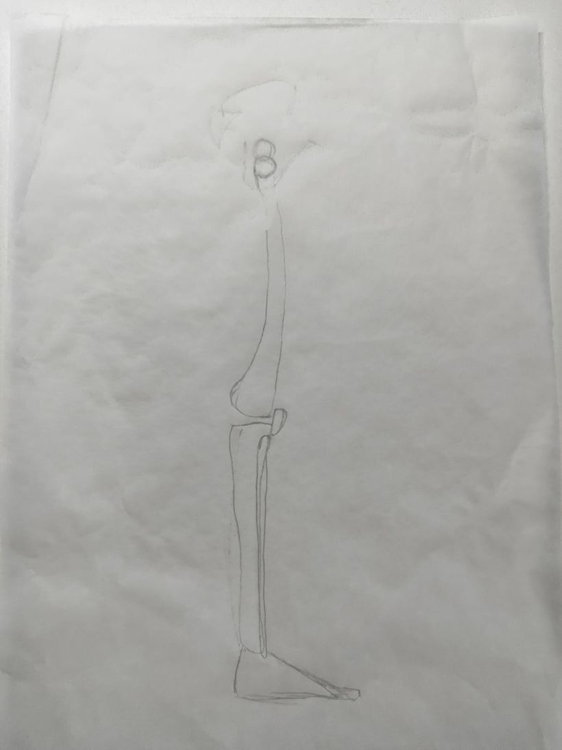 Mi proyecto del curso: Dibujo anatómico para principiantes 21