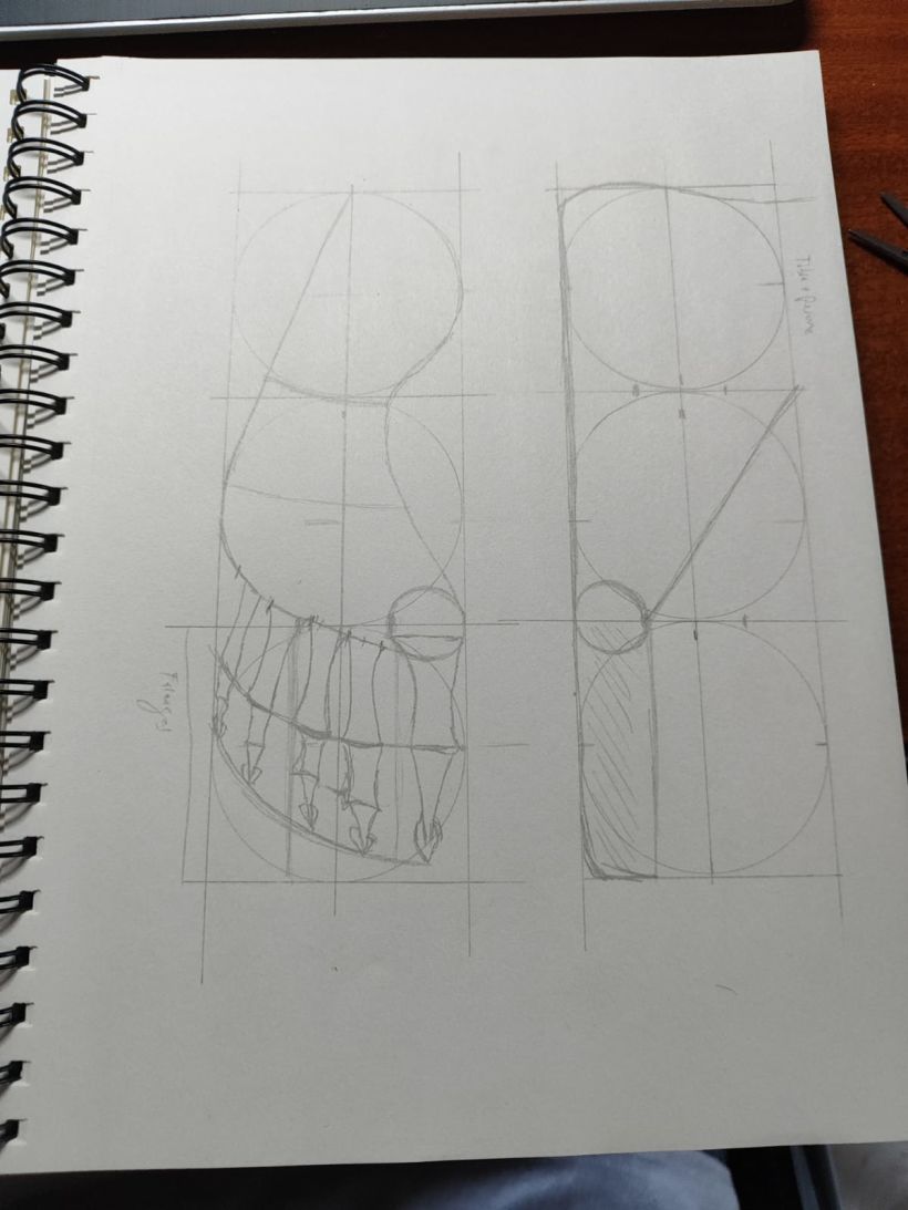 Mi proyecto del curso: Dibujo anatómico para principiantes 23