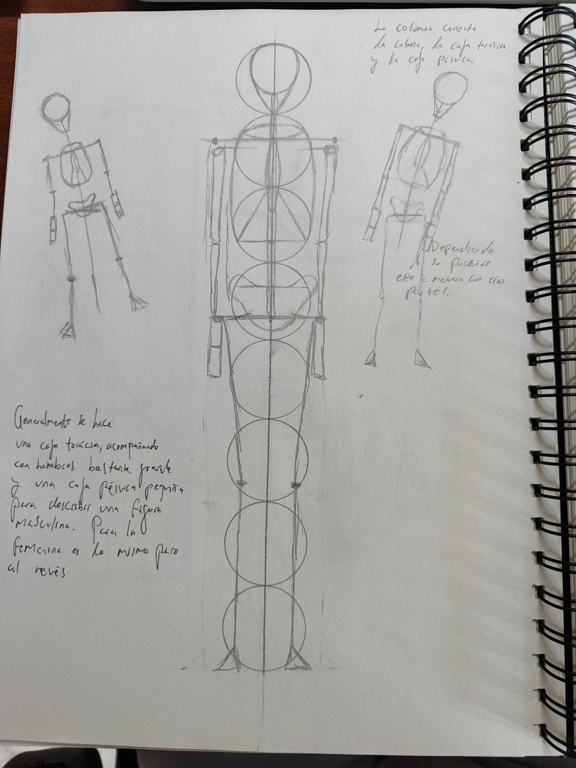 Mi proyecto del curso: Dibujo anatómico para principiantes 25