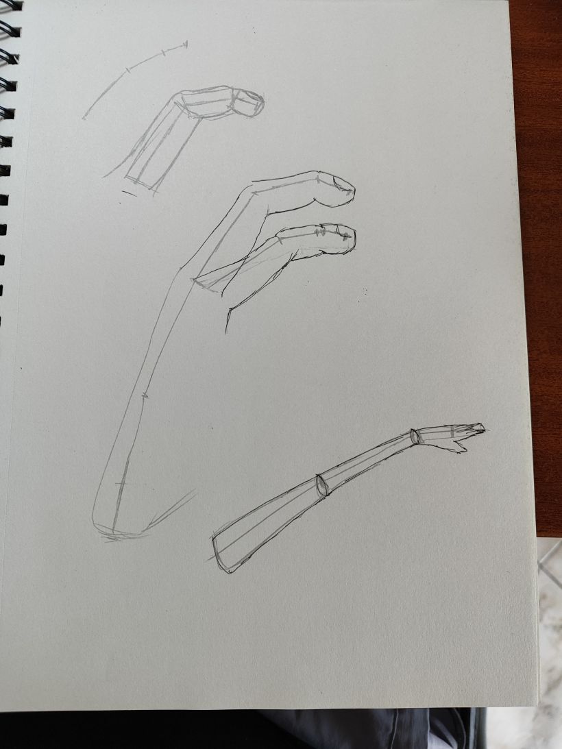 Mi proyecto del curso: Dibujo anatómico para principiantes 28
