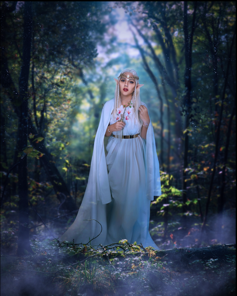 Una Mujer Elfa Con Un Vestido Morado Y Una Espada Entra En El Bosque  Brumoso. Fotos, retratos, imágenes y fotografía de archivo libres de  derecho. Image 197023622