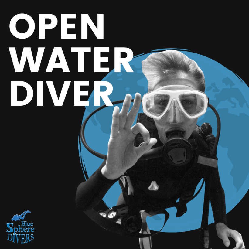 Blue Sphere Divers | Branding Collage Animado 5