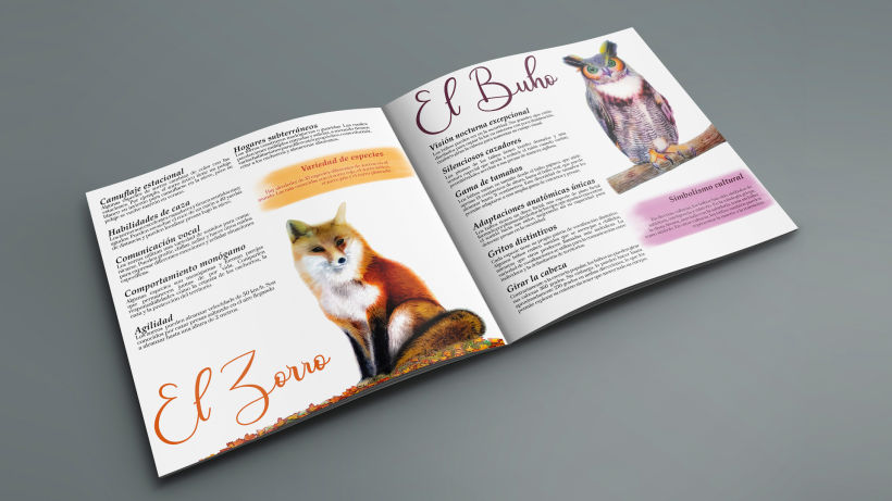 Brochure Curiosidades Animales  6