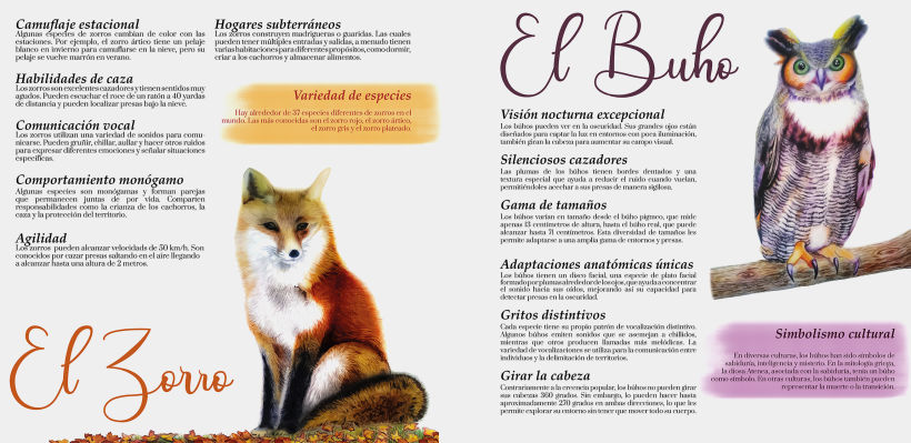 Brochure Curiosidades Animales  7