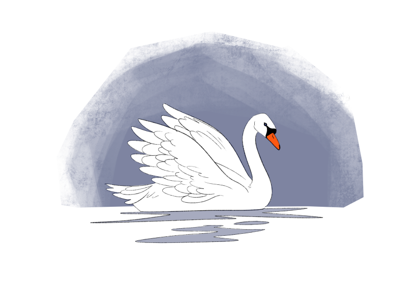 how to draw swan