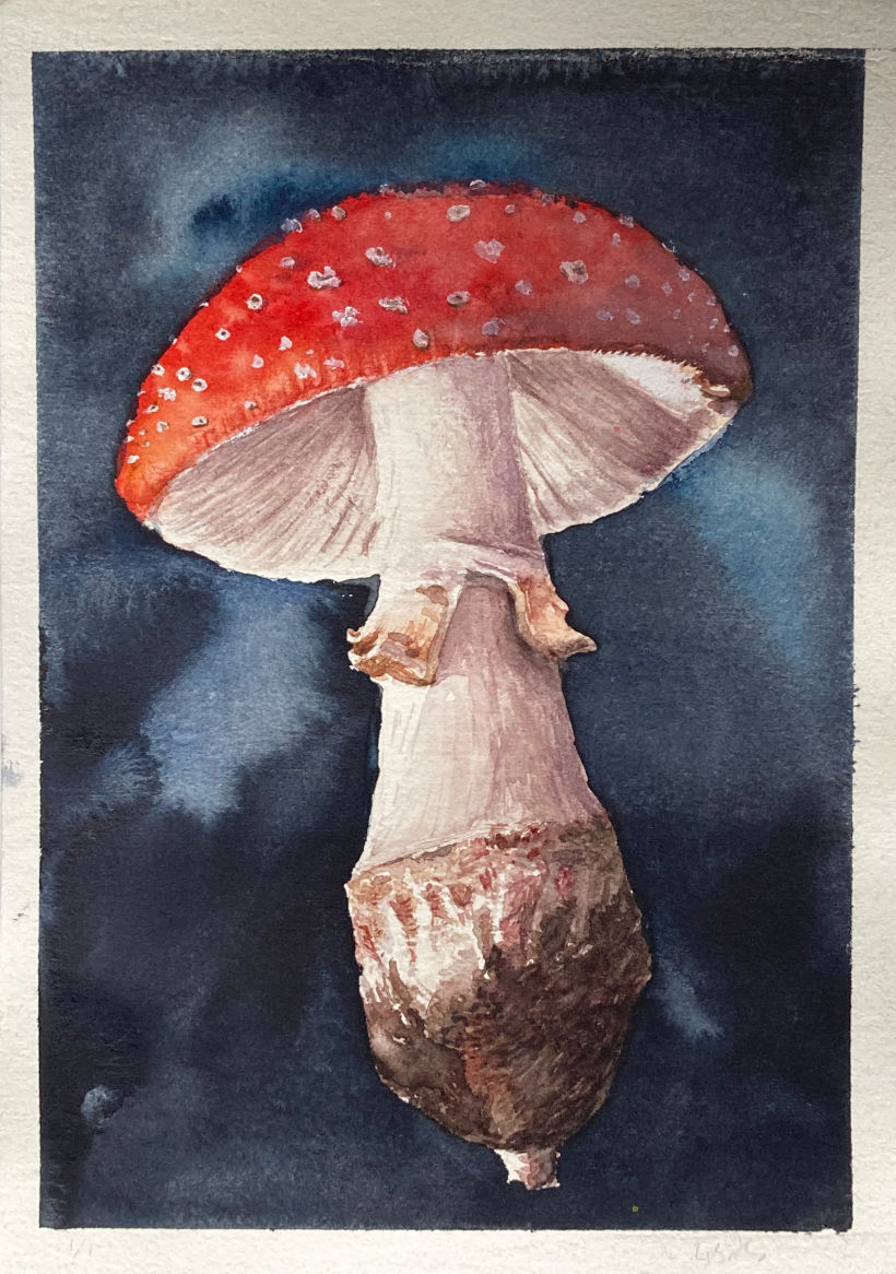 Cogumelo em aquarela 3