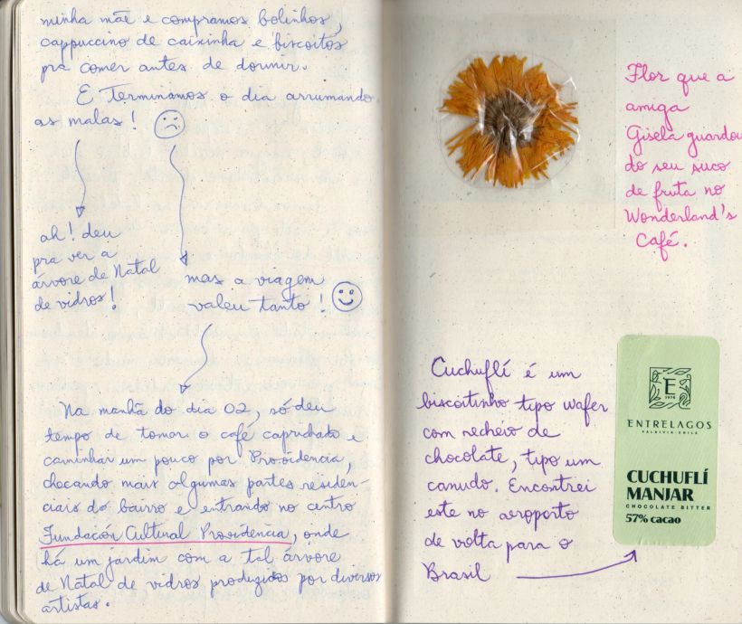 Final do diário de Santiago, flor de lembrança e rótulo de cuchuflí.