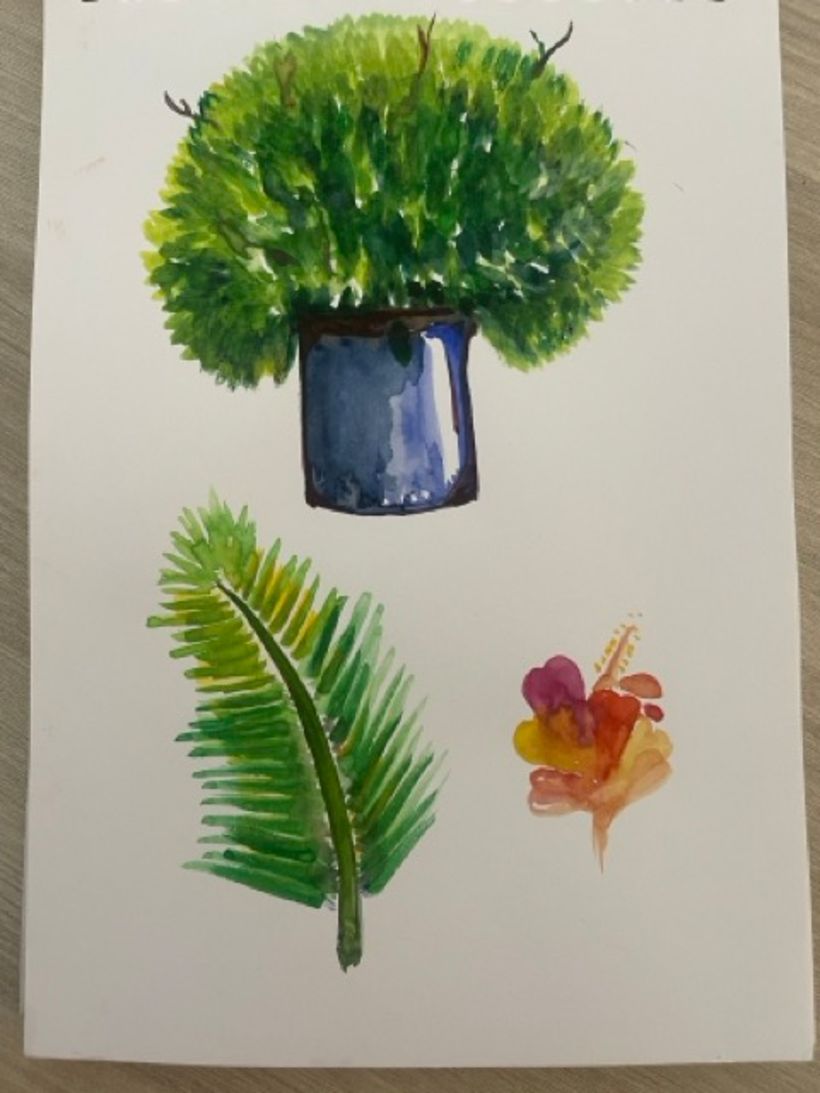 drawing botany and flowers with water colors.