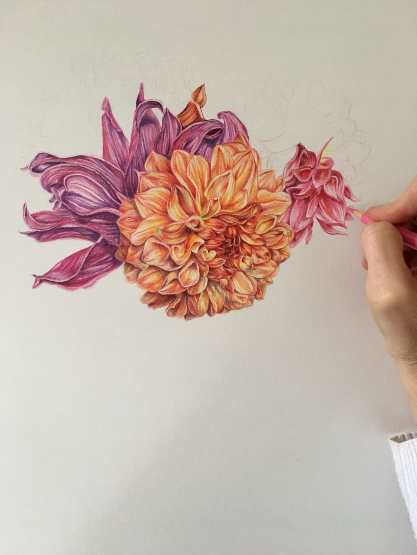 I love to draw flowers! I bought these at our local farmers market.