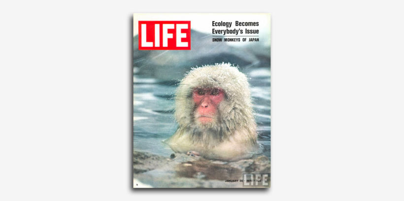 10 Legendary covers of Life magazine 9