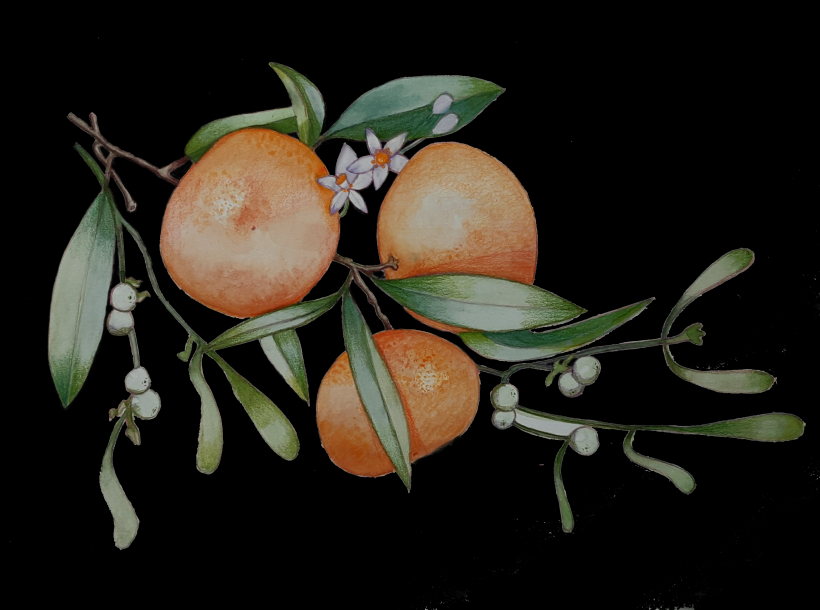Diciembre : mandarinas