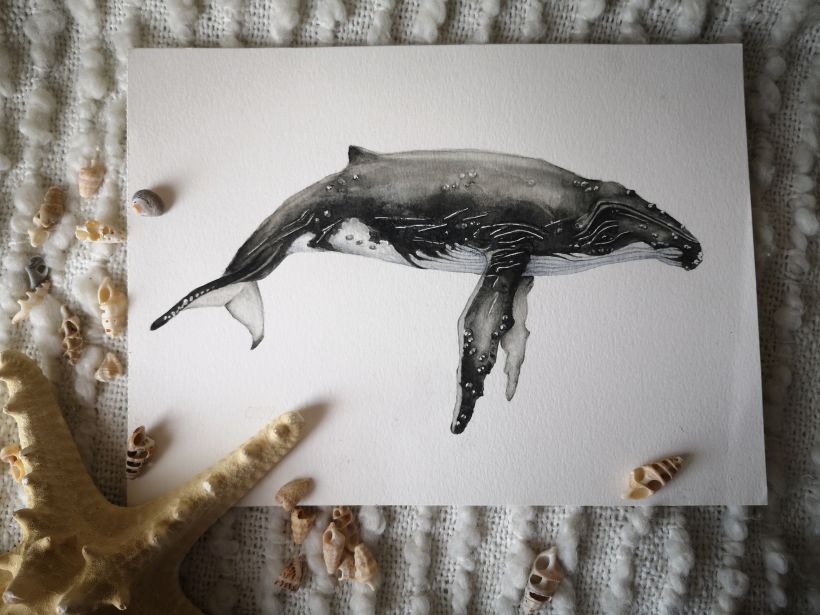 Resultado final ballena jorobada / Final result humpback whale  