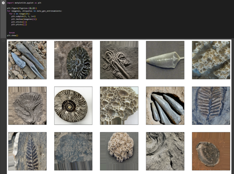 imagines de fosiles usadas