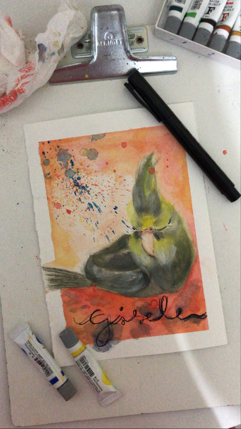 Gisele, pássaro calopsita - Aquarela & Guache 4
