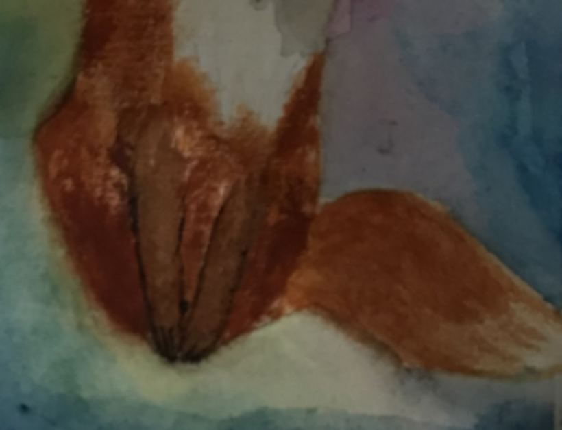 Fox - Watercolor 4