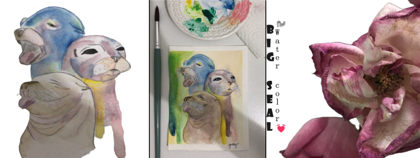 Big Seal - Watercolor 💓🦭 3