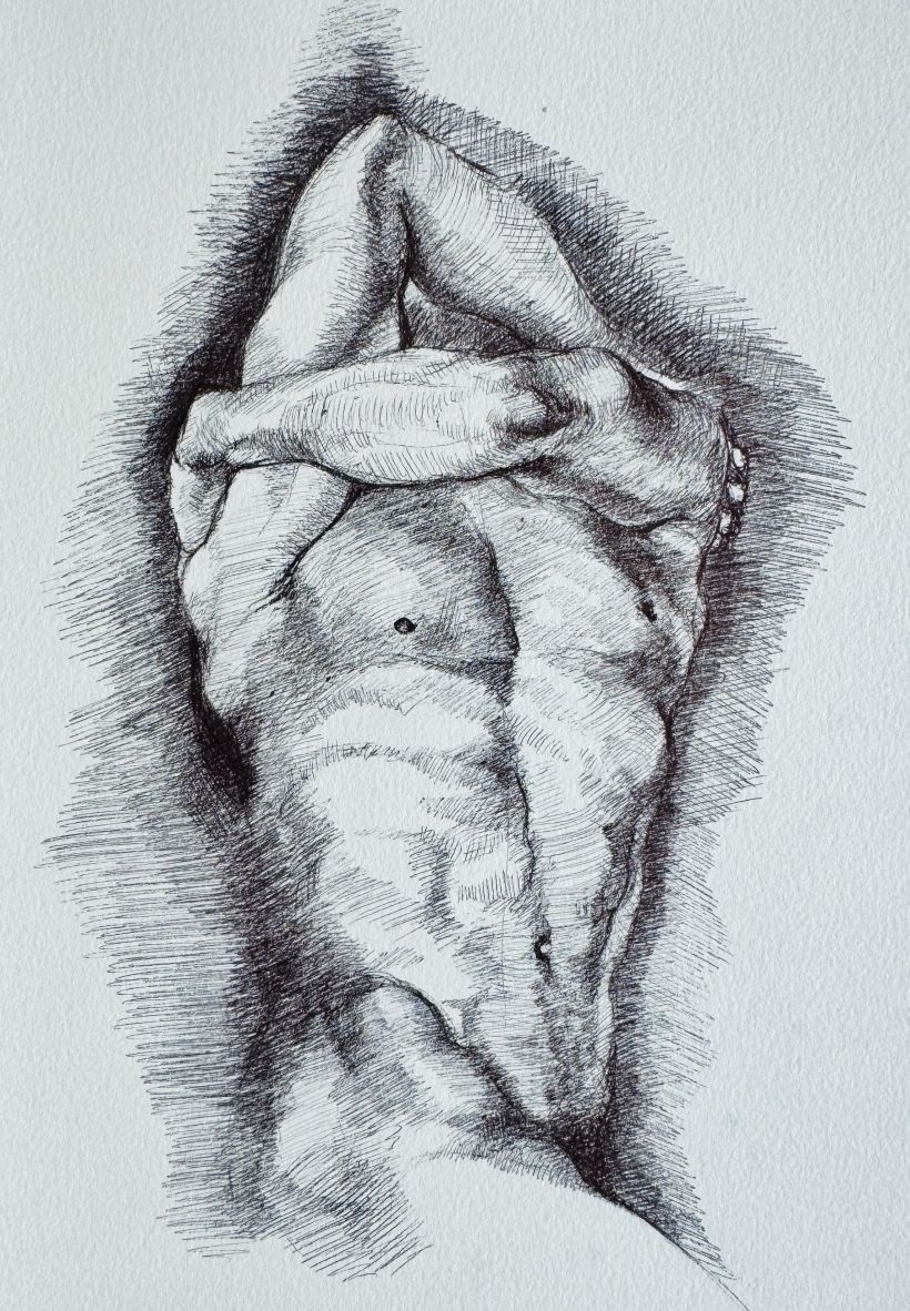 Male Nude - Figure Study - Ballpoint pen on 185 g paper
