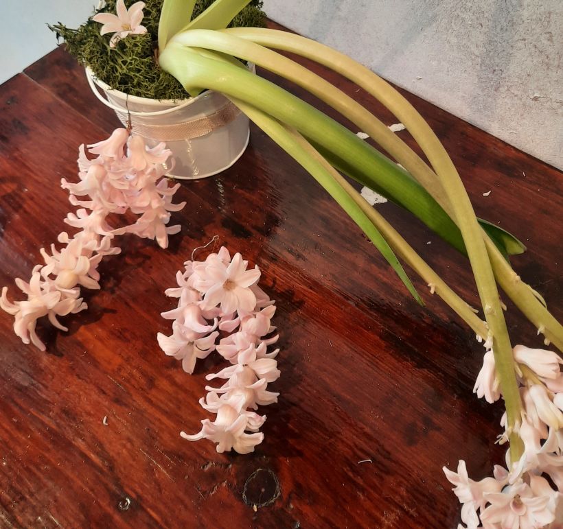 Mi proyecto del curso: Bisutería floral: crea accesorios con flores frescas 4