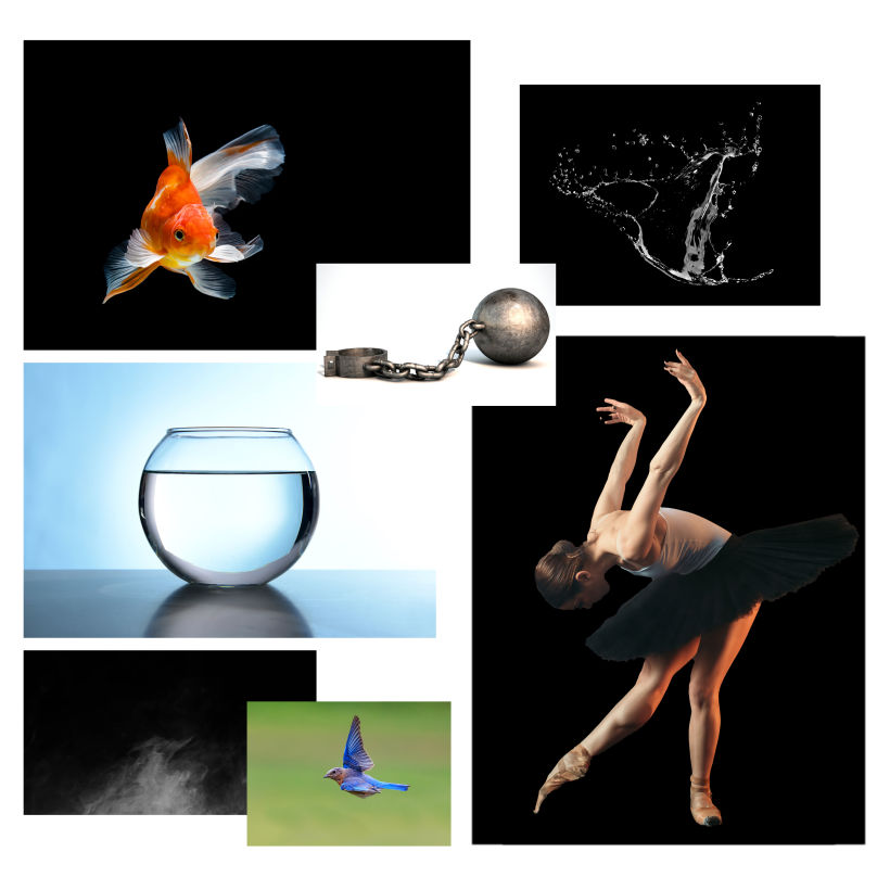 Mi proyecto del curso: Collage digital en Photoshop: composición y efectos visuales 1
