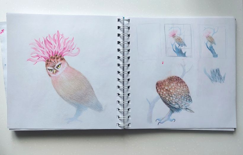 I want to draw my little owl with a pink cornflower growing out of his head.