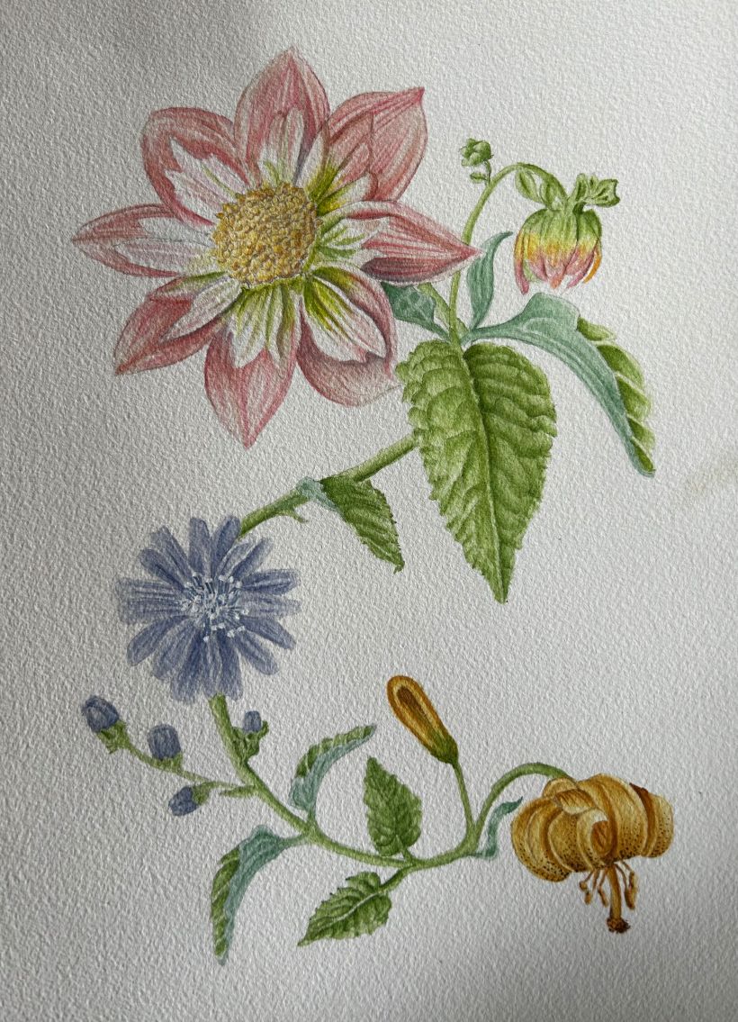 My project for course: Realistic Watercolor for Botanical Compositions 1
