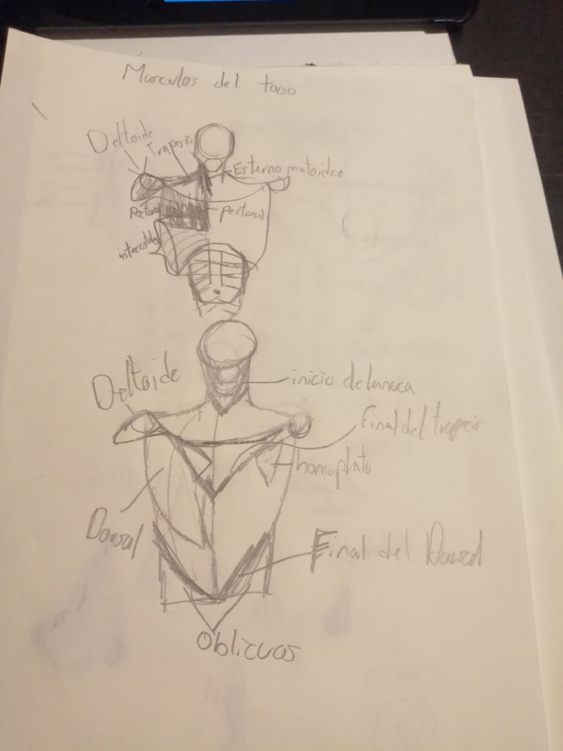 Mi proyecto del curso: Ilustración para cómics: anatomía de un superhéroe 4