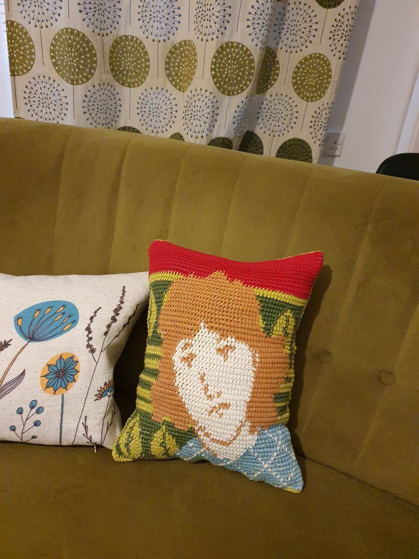 Stuffed, stitched up and pride of place on my sofa