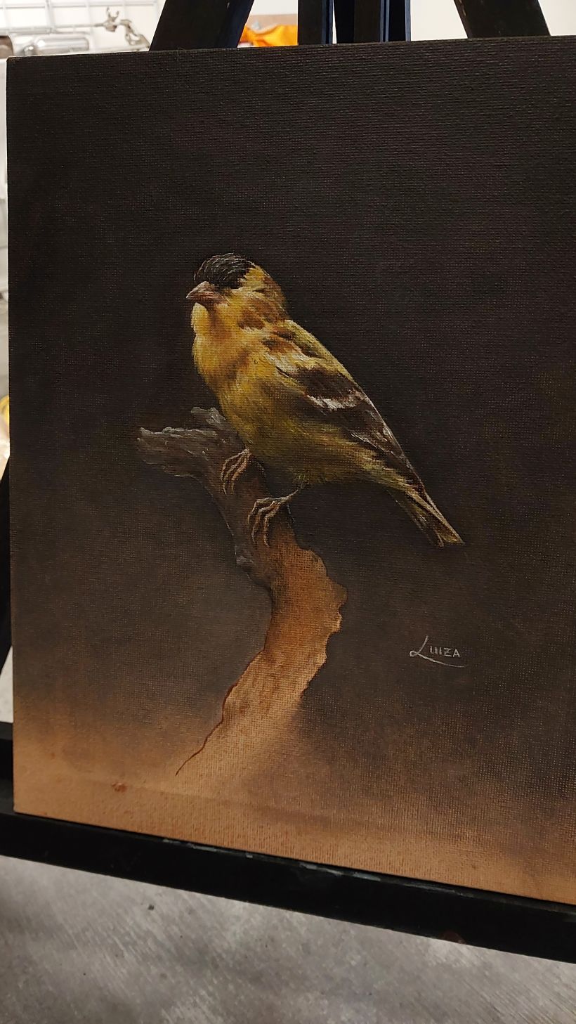 Meu projeto do curso: Pintura a óleo clássica para retratos naturalistas de pássaros 2