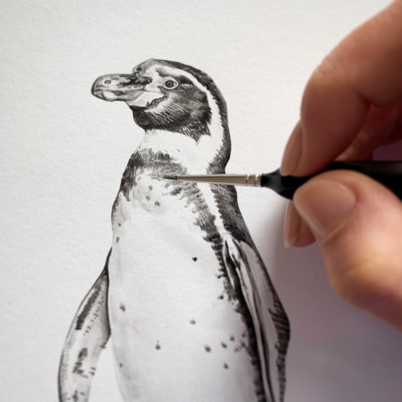 La importancia de observar a la hora de dibujar aves | Domestika