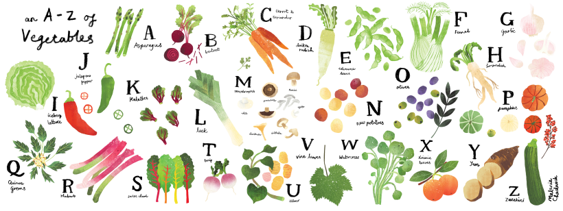 A Z Of Vegetables Domestika
