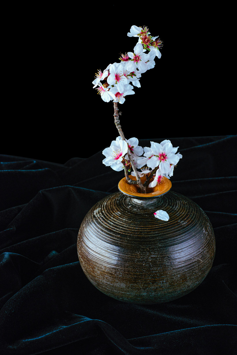 O que é a arte de arranjos florais Ikebana? 7