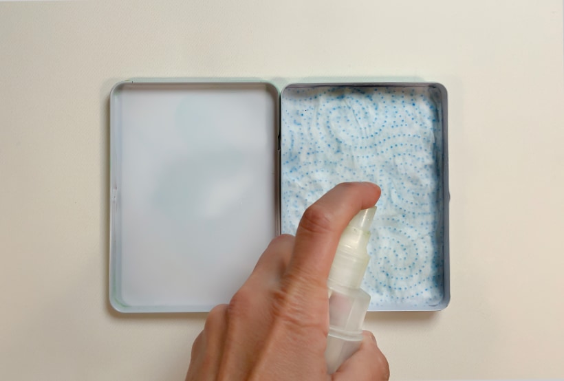 George Eliot Mirar fijamente bandeja Cómo fabricarte una paleta húmeda portátil para gouache y acrílico |  Domestika
