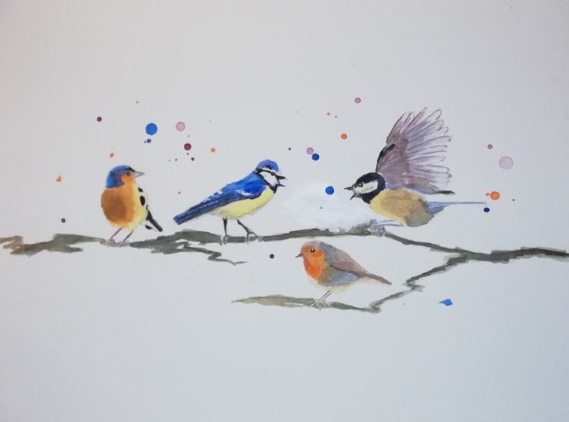 Mon Projet Du Cours Techniques Artistiques D Aquarelle Pour Illustrer Les Oiseaux Domestika