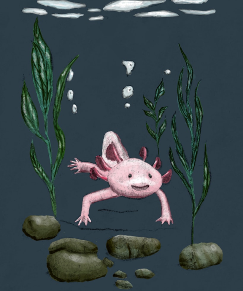 Axolotl | Domestika